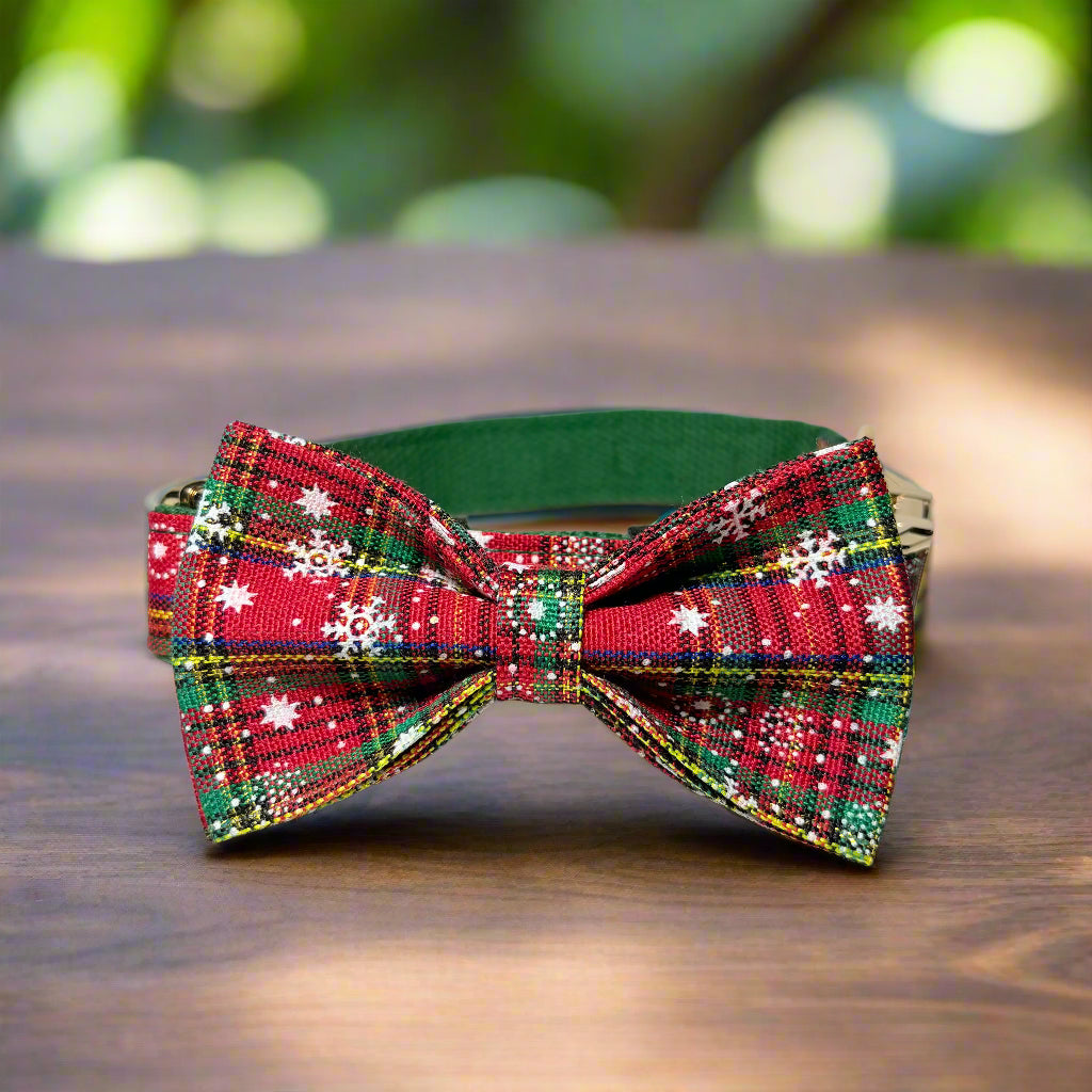 holiday vibe dog collar with bow tie side view