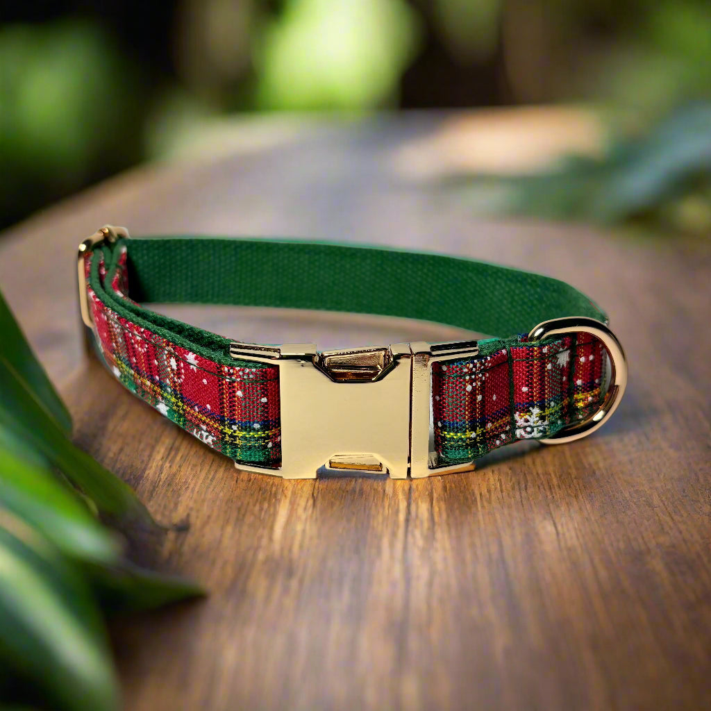 holiday vibe dog collar without bow tie front view