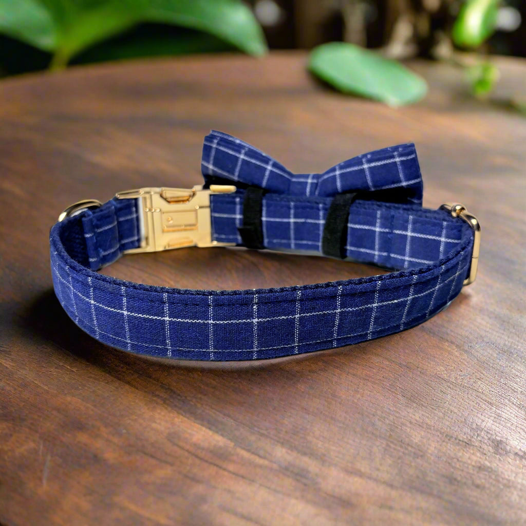 midnight dream dog collar with bow tie back view