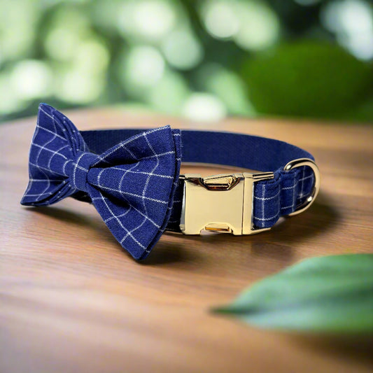 midnight dream dog collar with bow tie front view