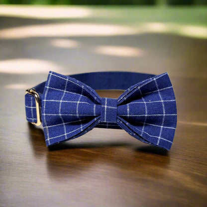 midnight dream dog collar with bow tie side view