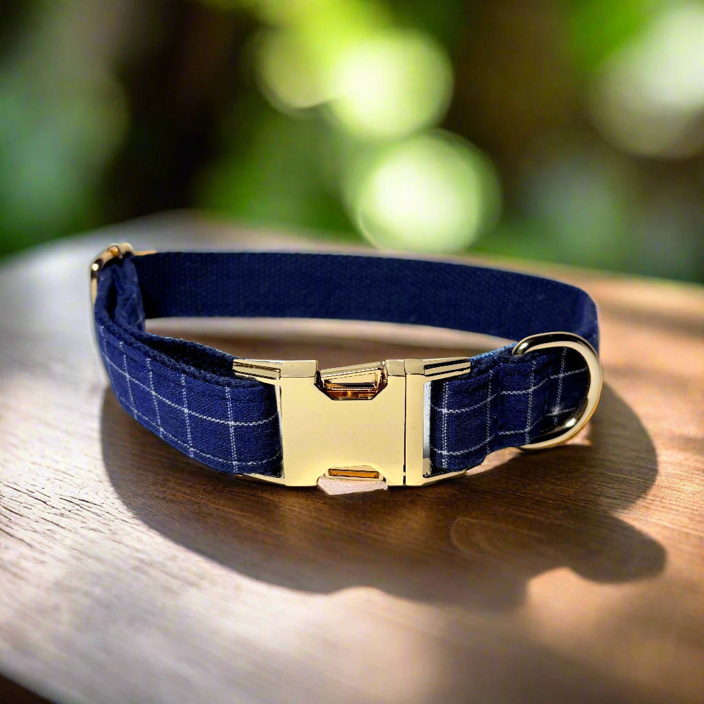 midnight dream dog collar without bow tie front view