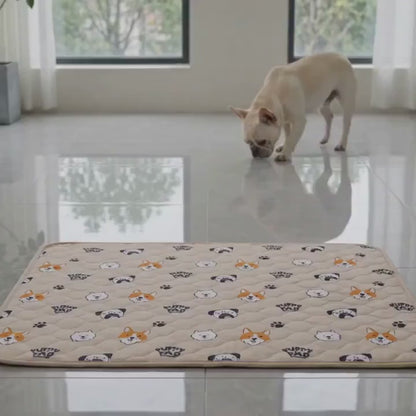 EverFresh Puppy Pad - The Last Pee Pad You'll Get