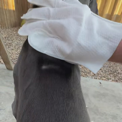 3-in-1 Grooming Glove Wipes (For Dogs and Cats)