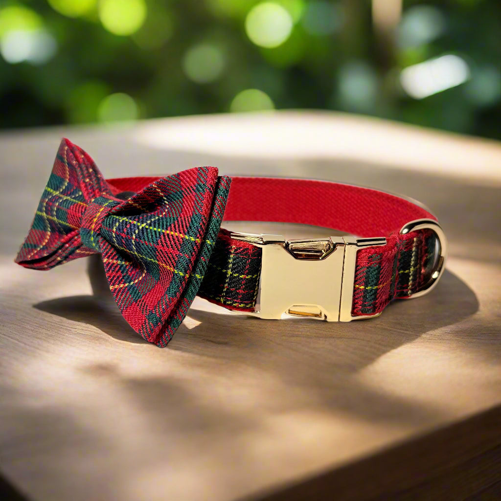 secret santa dog collar with bow tie front view