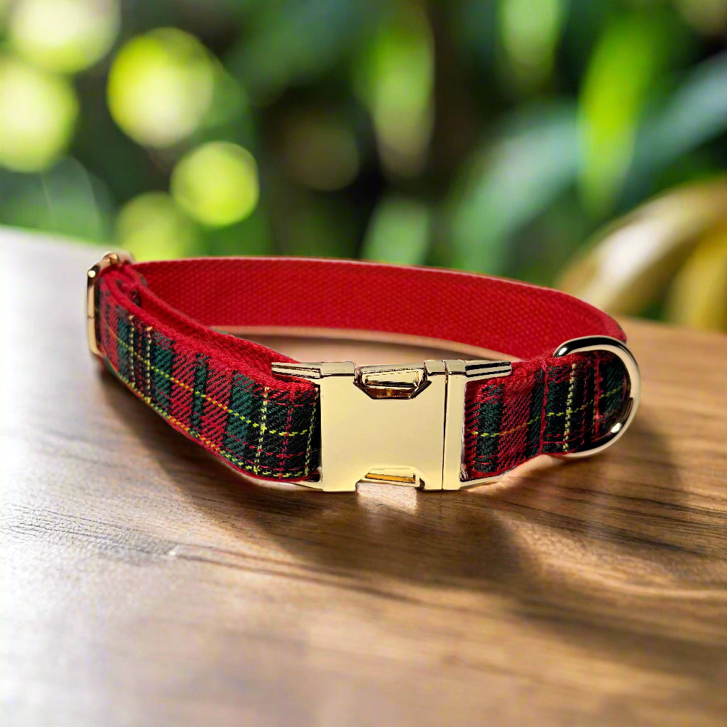 secret santa dog collar without bow tie front view