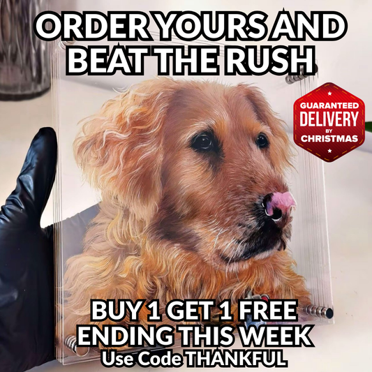 Hand-Painted 3D Pet Portrait