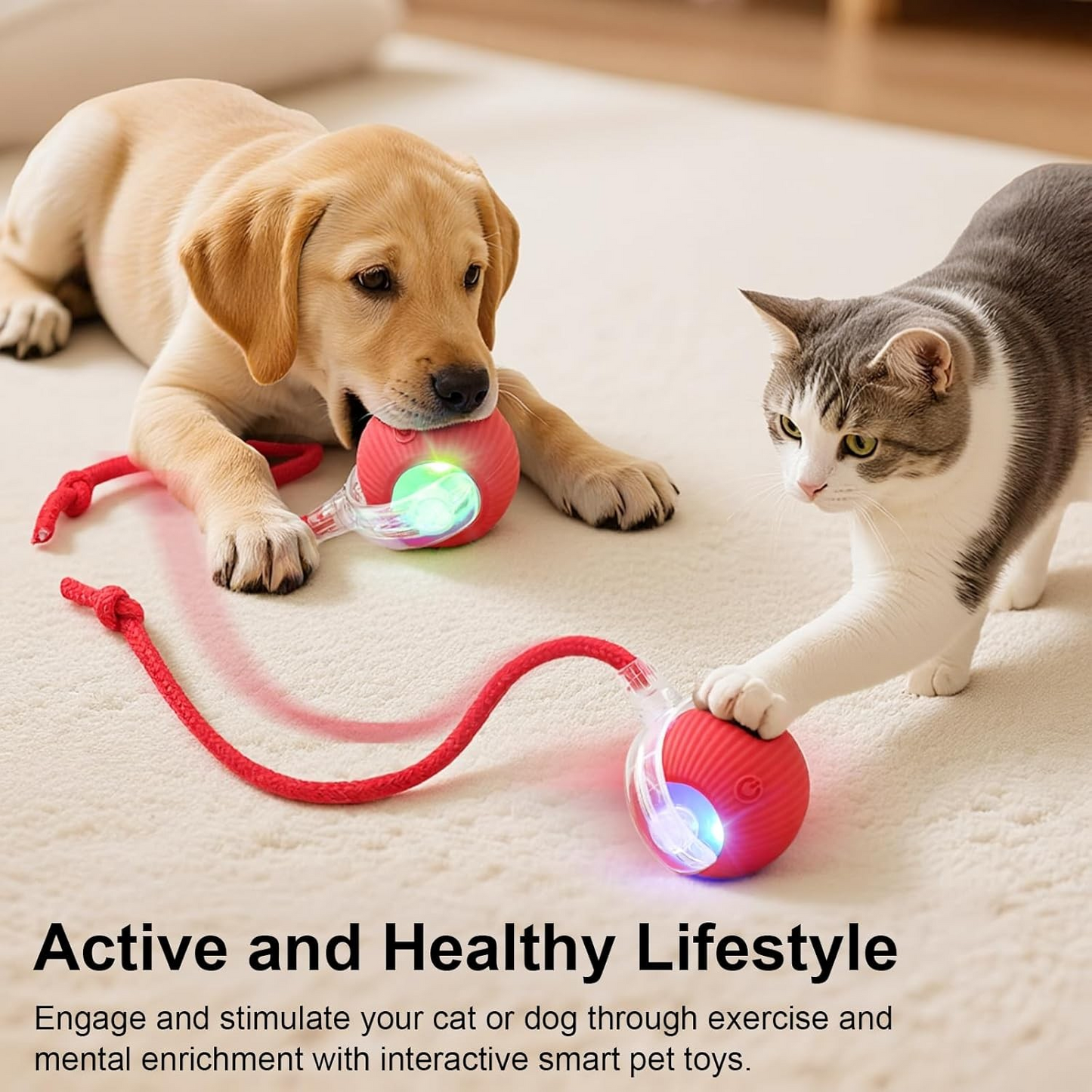 Interactive Self-Rolling Ball (For Cats and Dogs)