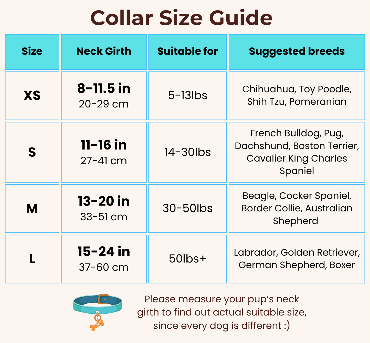 Personalized Dog ID Collar