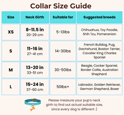 Personalized Dog ID Collar